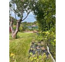 Schrebergarten Kleingarten Kolonie Garten 7373c - Flensburg