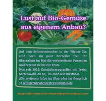 Start in die Wintergarten-Saison - Kassel Philippinenhof-Warteberg