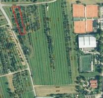 Wiese, Garten, Grundstück, Streuobstwiese, Einmalige Chance - Korb