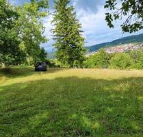 Gartenparadis Wochenendgrundstück - Tübingen Schönblick / Winkelwiese