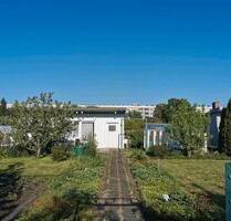 Kleingarten Parzelle - 3.000,00 EUR Kaltmiete, ca.  0,00 m² in Neubrandenburg (PLZ: 17033)