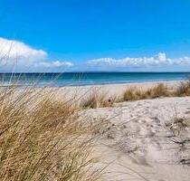 Ostsee Rügen Ferienwohnung 1 Wo - Mansfeld