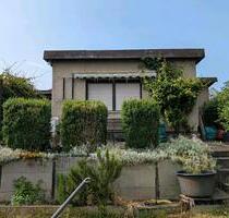 Kleingarten Garten Schrebergarten - Chemnitz Altendorf