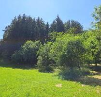 Freizeitgrundstück mit Streuobstwiese - Haiterbach