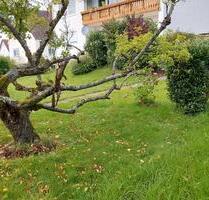 Mietwohnung Wohnung Miete Haus Mieten Garage Garten Terasse Kelle - Ichenhausen