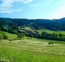 Traumwohnung in 1. Reihe mit freier Talsicht – Ihr Rückzugsort im - Sasbachwalden