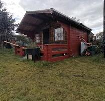 pachtgarten olvenstedt nur noch dieses Wochenende wegen Kur - Magdeburg Alt Olvenstedt