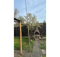 Schrebergarten - 5.000,00 EUR Kaltmiete, ca.  0,00 m² in Duisburg (PLZ: 47137) Mittelmeiderich