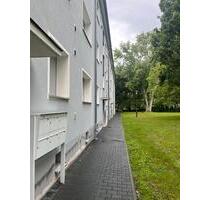 Preisgünstiges und individuelles 1-Zimmer-Single-Appartment - Frankfurt am Main Sindlingen