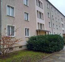 Striesen: 2-Zimmerwohnung nahe dem Stresemannplatz - Dresden Blasewitz