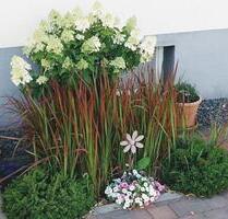 Mietwohnung in Irrel - 390,00 EUR Kaltmiete, in Irrel (PLZ: 54666)