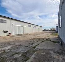 Vermietung Lagerhalle zur individuellen Nutzung - Ebersbach