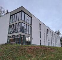 Kleine 1-Zimmerwohnung - 350,00 EUR Kaltmiete, in Hoppstädten-Weiersbach (PLZ: 55768)