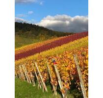 Charmante 77qm große 2-Zimmer-Wohnung mit Terrasse, 15 qm Hobbyraum & Stellplatz - Stuttgart Luginsland