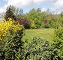 MagerwieseWeide 1,4 ha eingezäunt - LK Landshut - zu verpachten - Adlkofen