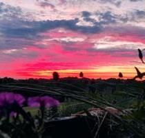 Einfamilienhaus mit Einliegerwohnung - Leverkusen Bergisch Neukirchen