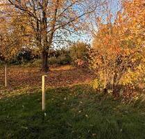 Garten zu verpachten - 70,00 EUR Kaltmiete, ca.  0,00 m² in Übach-Palenberg (PLZ: 52531)