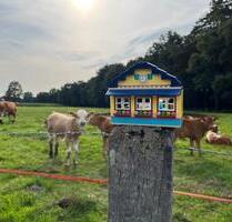 Landhaus Alleinlage Nähe Versmold