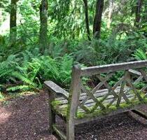 Freizeitgrundstück Garten in Pirmasens zu vermieten!