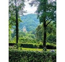 Garten mit traumhaften Blick auf Frauenstein - Wiesbaden Schierstein