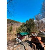 HAUS IM WALD RUHIGE LAGE NOTVERKAUF - Helsa