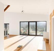 3-Zimmer Loft Wohnung mit Garten, Terasse und Stellplatz - Mauchenheim