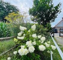 Moderner Resthof Pferdehof - Hochwertige Alleinlage im Grünen - Wilsum