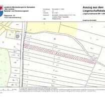 5550 qm Brachland in Neustrelitz am Bürgerseeweg