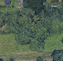 Baumwiese in Leutenbach zu verpachten - Remshalden