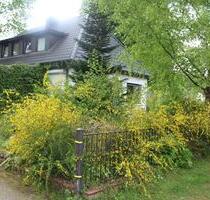 Hoisdorf, Haus mit Werkstatt , Natur Grundstück
