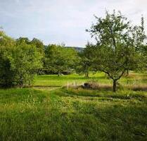 Gartengrundstück in Ammerbuch Entringen bei Tubingen - Herrenberg