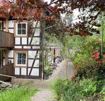 Sanierte Wohnung am Waldrand in historischem Fachwerkhaus - Ottenhöfen im Schwarzwald