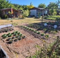 Garten im kassebohmer Weg - 400,00 EUR Kaltmiete, ca.  0,00 m² in Rostock (PLZ: 18146) Alt Bartelsdorf