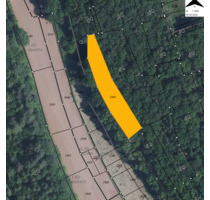 1800 QM Waldstück in Ramstein-Miesenbach - Berlin Steglitz-Zehlendorf
