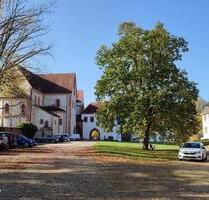 3-Raumwohnung mit Blick auf die Basilika - Rochlitz