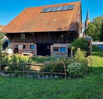 Scharmvolles Bauernhaus mit Stallungen - Mudau