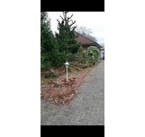 Walmdach Bungalow Einfamilienhaus - Westoverledingen
