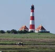 Große Fewo, auch mit Hund in Nordsee Nähe, gut und günstig. - Lunden