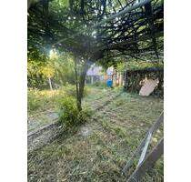 Pachgarten - 1.250,00 EUR Kaltmiete, ca.  0,00 m² in Flintbek (PLZ: 24220)
