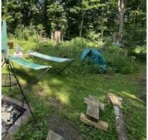 Freizeitgrundstück mit Wasser! Garten zu vermietenverpachten - Steinwenden