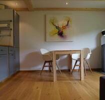 Sauna und Kamin: Ferienhaus Hellaberg II - Schleusegrund