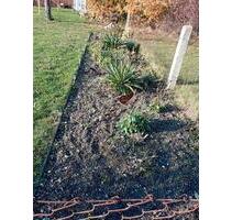 Pachtgarten - 5,00 EUR Kaltmiete, ca.  0,00 m² in Torgau (PLZ: 04860)