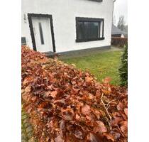 Wohnung in Simmerath Bickerath - 575,00 EUR Kaltmiete, ca.  50,00 m² in Simmerath (PLZ: 52152)