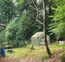 Mitnutzen und -wirken eines Waldhauses bei Overath