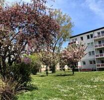 Alles was das Herz begehrt - 380,00 EUR Kaltmiete, in Merseburg (PLZ: 06217)