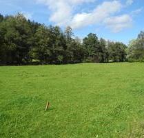 Seltene Gelegenheit.... - 577.500,00 EUR Kaltmiete, ca.  0,00 m² in Hinterzarten (PLZ: 79856)