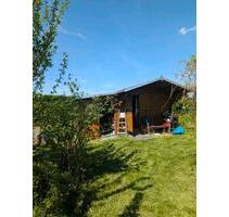 Kleingarten im Umland von Leipzig abzugeben - Bad Lausick