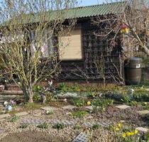 Garten Pacht - 1.500,00 EUR Kaltmiete, ca.  0,00 m² in Döbeln (PLZ: 04720)