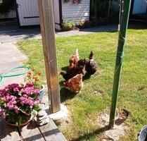 Teimöblierte Wohnung für Single - Süderbrarup