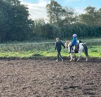 Auszeit auf dem Ponyhof - 125,00 EUR Kaltmiete, in Gelting (PLZ: 24395)